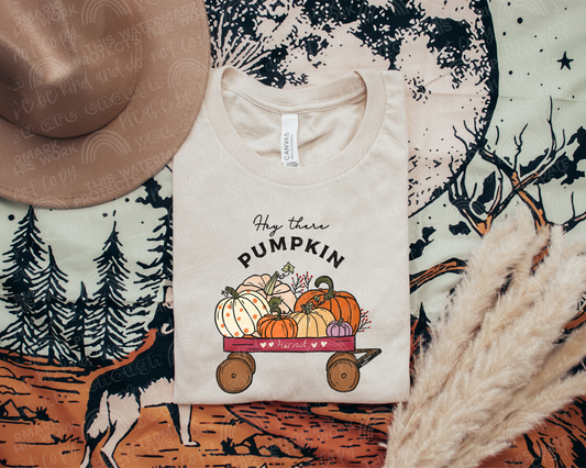 Hey There Pumpkin Graphic Tee